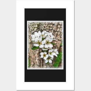 Pear Tree blossom Posters and Art